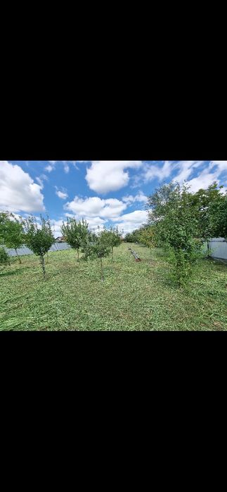 Vând 2.500 mp teren intravilan în Lugojel la 4 km de Lugoj 27€ /mp