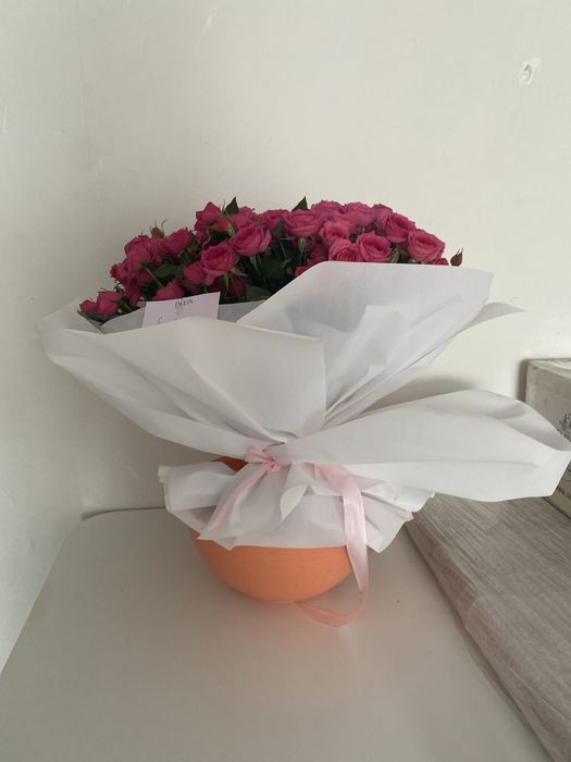 кустовые розы--бұталы раушан