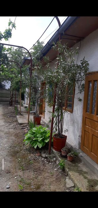 Casa mobilata locuibila centru Daneti 3 camere 80mp, cu numeroase dependinte, inclusiv 2 beciuri, curte si gradina 2.700 mp, apa si curent