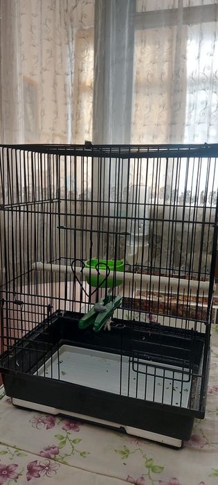 Продается   Попугай с клеткой!