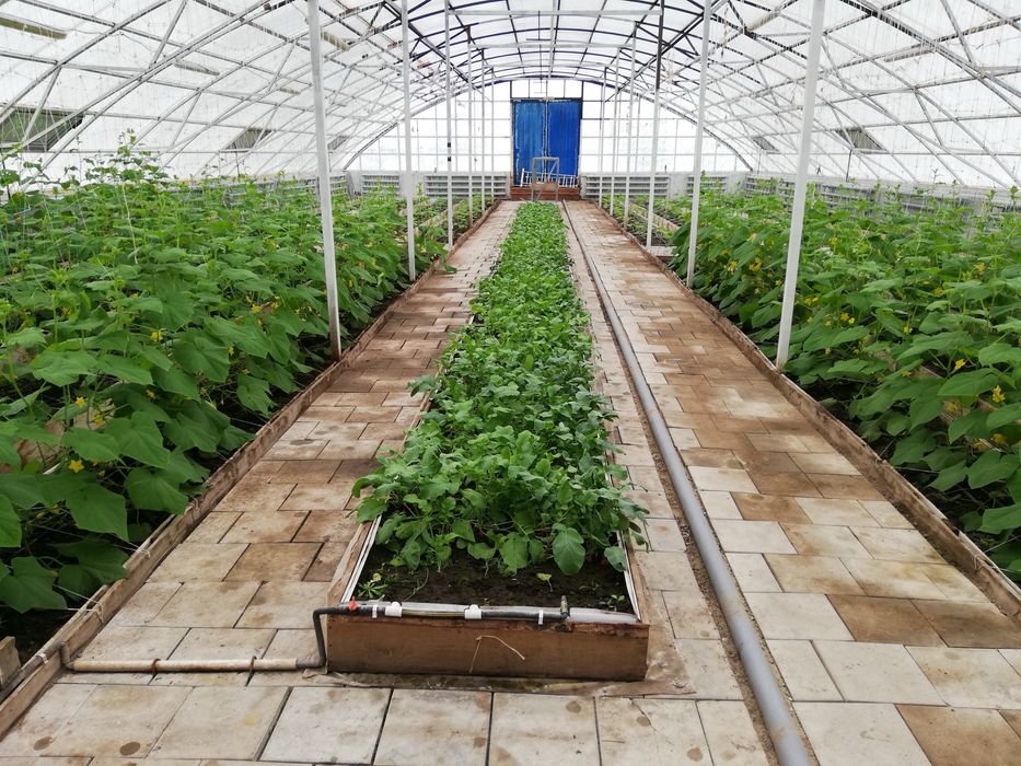 В продаже производственная база