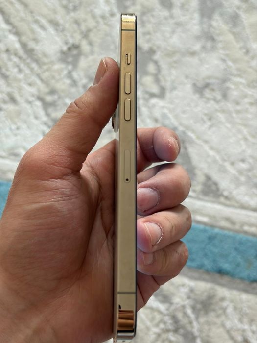 Iphone 12 pro max 255gb