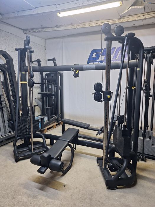 Technogym Radiant  scripete dublu