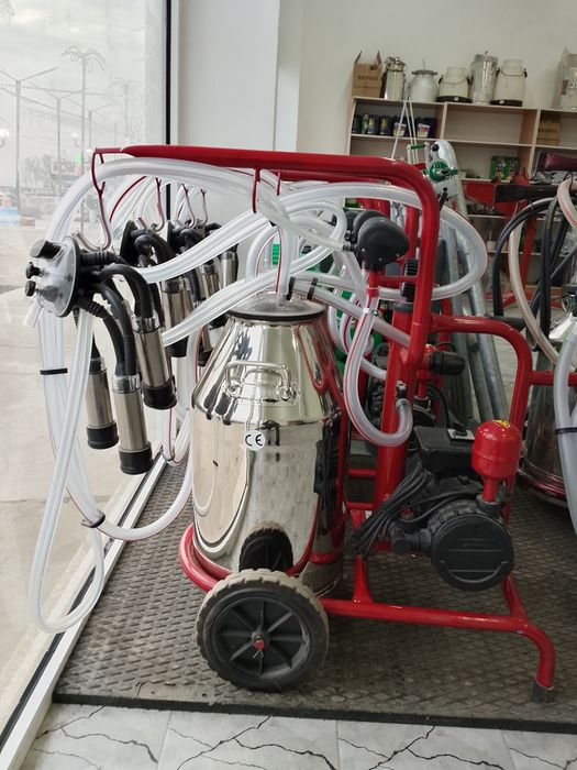 Sut sogʻish aparatlari