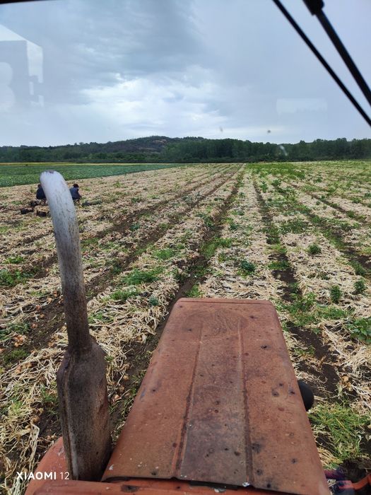 Продавам Лук  Лясковец и Щутгарт- 1,20лв/кг. +Дини+Пъпеш