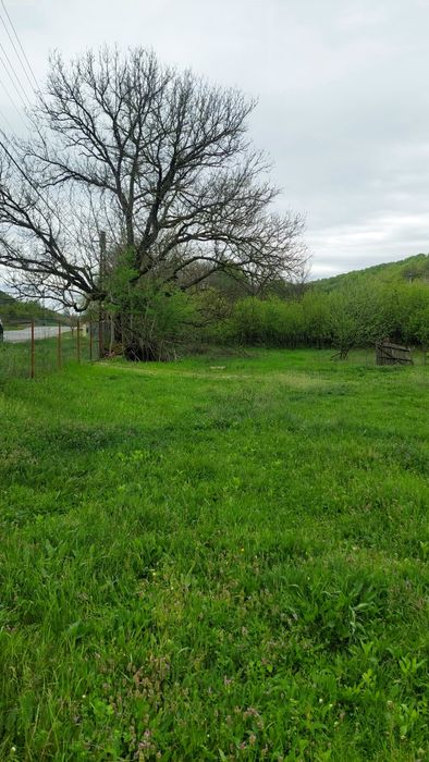 Casa + 9800 mp teren, Cotmeana -Arges, zona verde, potential turistic