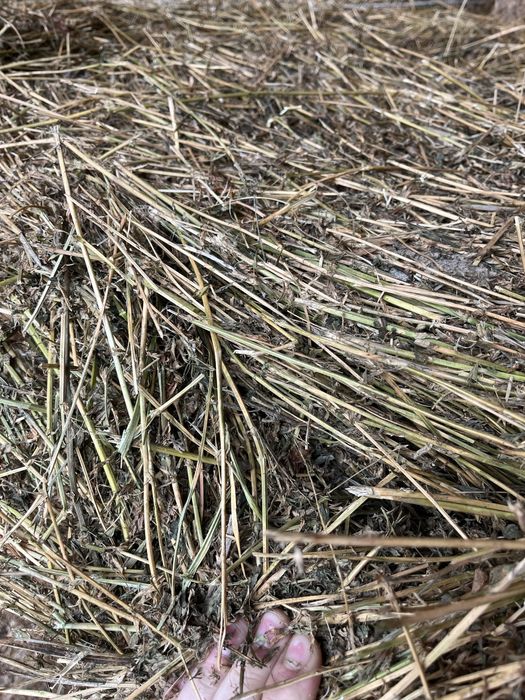 Vand lucerna ,calitate foarte buna