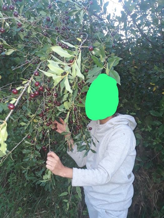 Продаётся дача в г.Риддер  на 4 районе с /о Казахстан