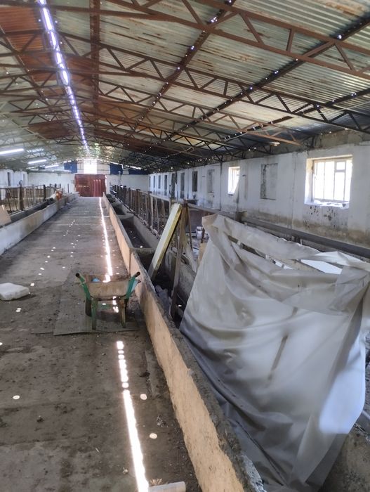 Жевотноводческая база