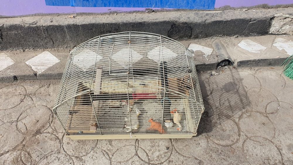 Продам срочно  клетку.