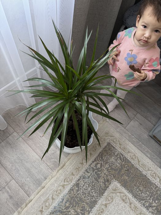 Холодильник самсунг