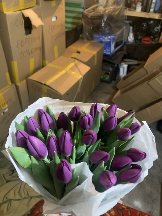 Тюльпаны на 8 марта