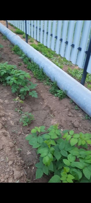 Продам дачу со Агротехснаб