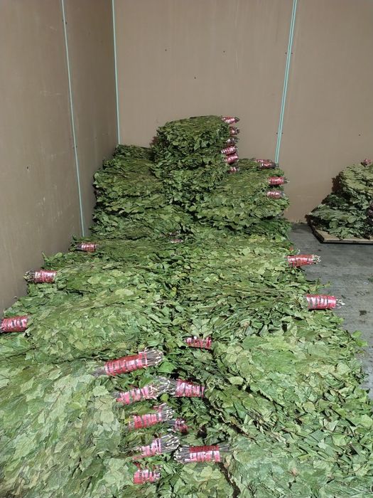 Веники для бани бани