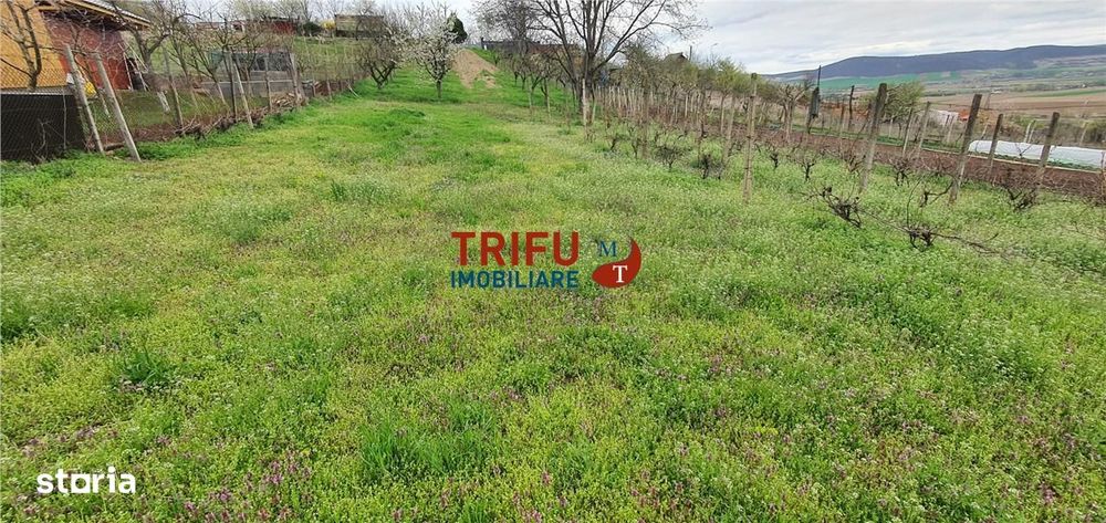 Teren de vanzare zona Micesti 1436mp