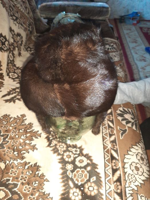 Продаю норковые шапки