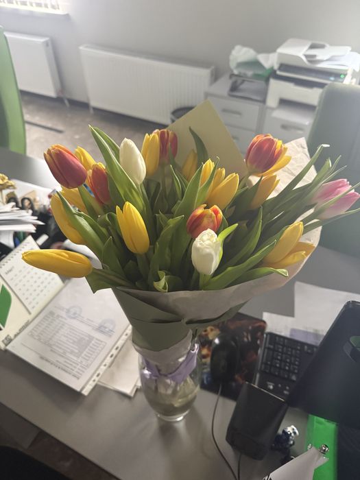 Тюльпаны цветы 25шт