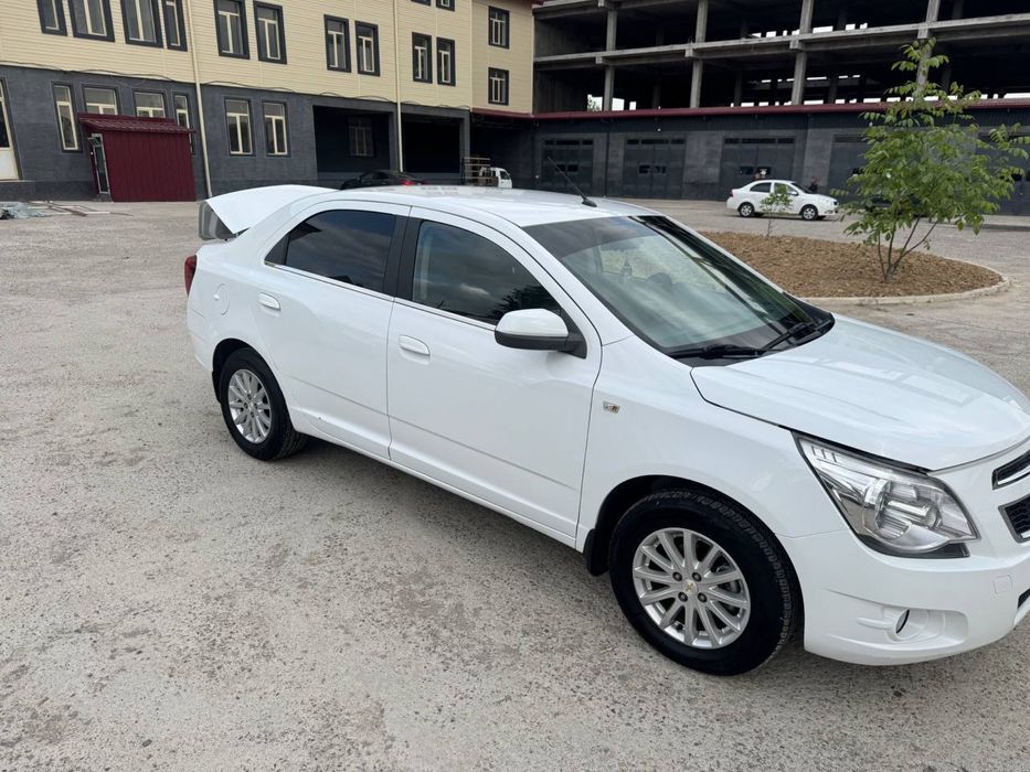 Cobalt 2018 yil parokda petno bor