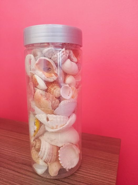 Продам набор ракушек