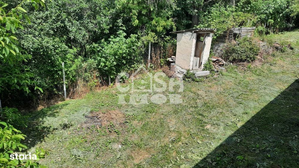 Vanzare casa in Gemenea-Bratulesti, jud. Dambovita (zona viticola)