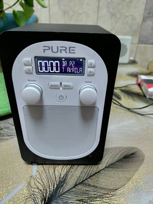 Vind radio Pure evoke d1