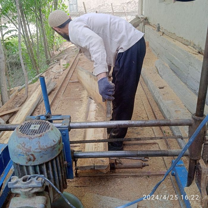 Pilorama barcha turdagi yogʻochlarni kesadi