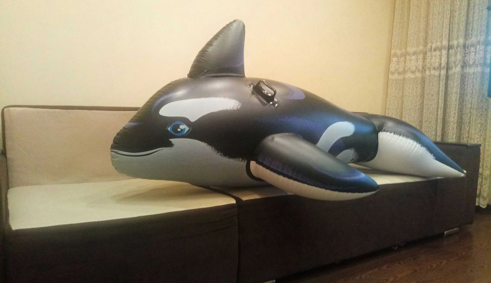 Надувная, рыба, дельфин, круг