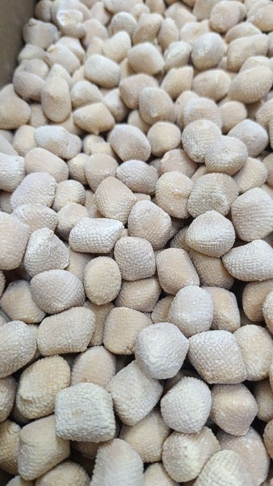 Ауыл құрты балғын