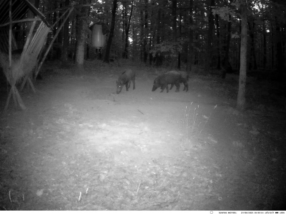 Camere vanatoare,supraveghere Live 4G ,120 mp 4k fara adresa  e-mail