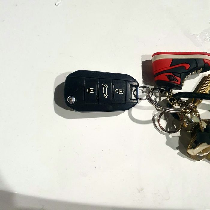 Citroen C-Elysee Full Gpl