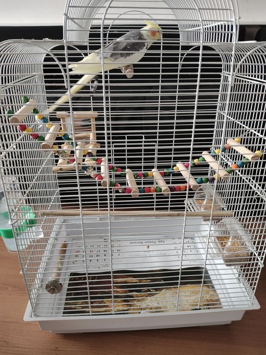 Клетка с папагал КОРЕЛА