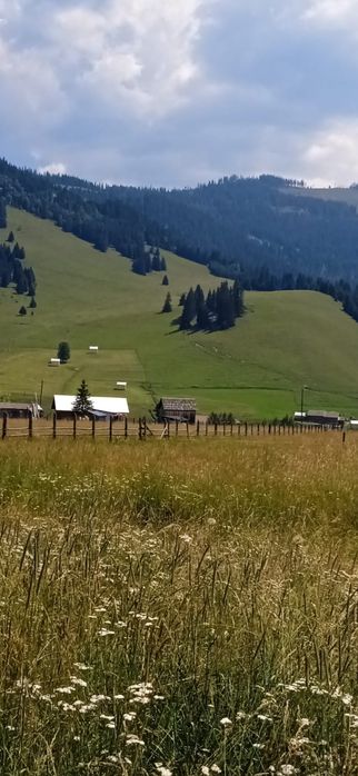 Teren la munte, Saru Dornei