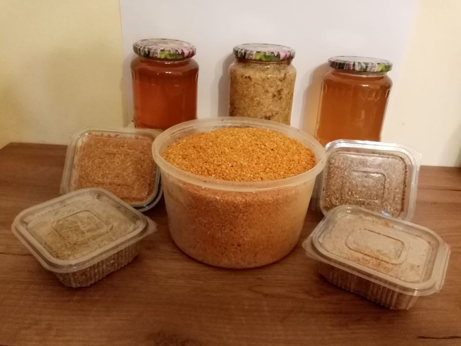 Căpăceală de salcâm