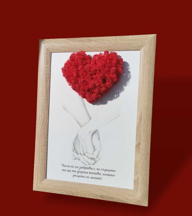 Живи картини/пана с естествен скандинавски мъх