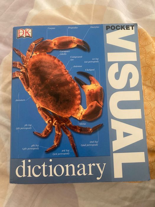 Pocket Visual Dictionary