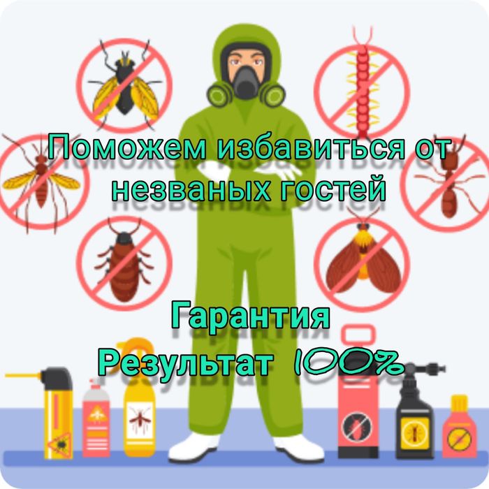 Дезинфекция Шымкент