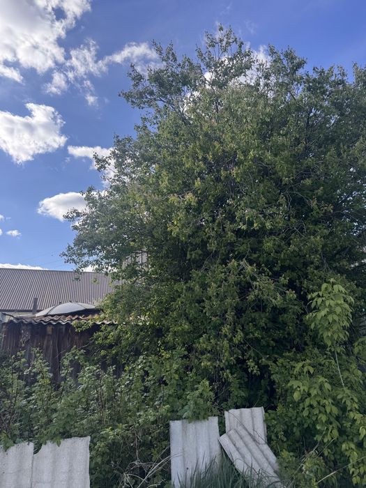Продам дом в городе