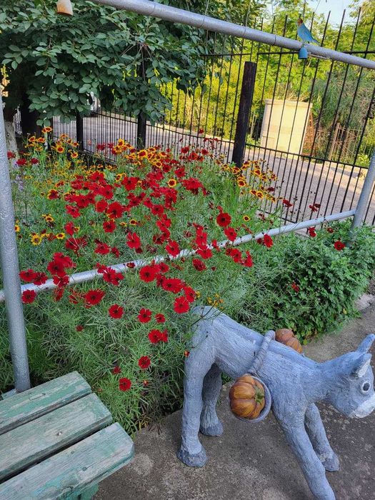 срочно продается благоустроенная дача