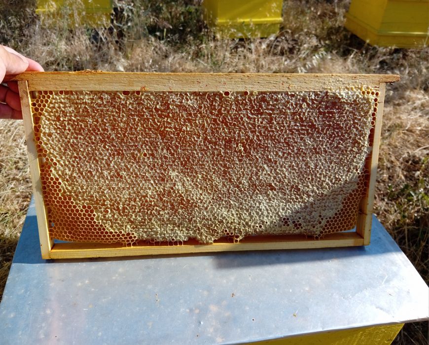 Пчелен Мед от Пчели