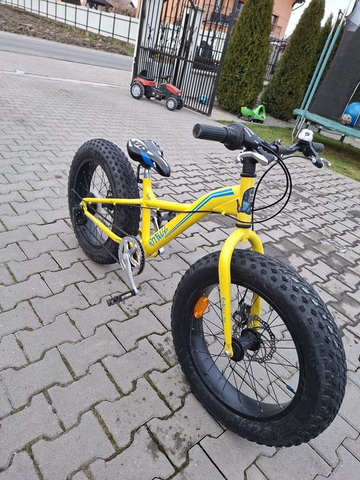 Bicicleta fat  bike