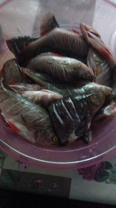 Рыба,раки каппчёная вяленая
