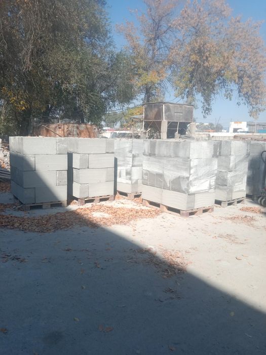 Газоблок 20*30*60