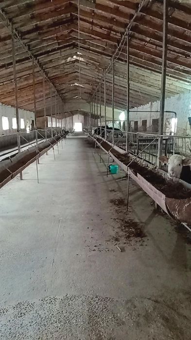 Ферма сотилади 1.27 Гектар Таёр Бизнес