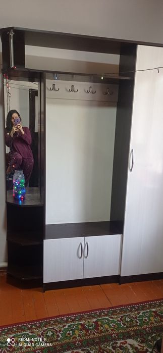 Прихожая шкаф мебель