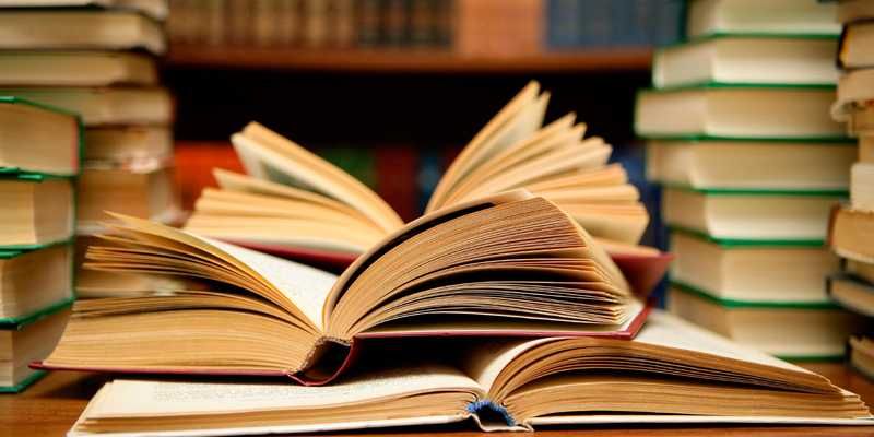 Meditații limba și literatura română