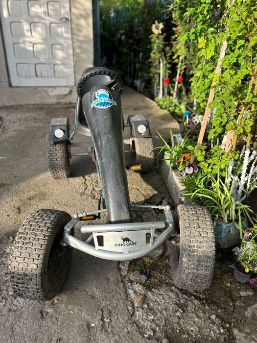 Vind cart DINO CARS coii/adulti