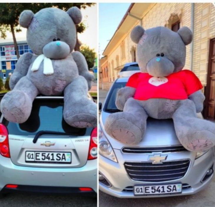 Тедди Teddy Teddi Teddiy по, Оптовым цена Teddy ayig'i original Mishka