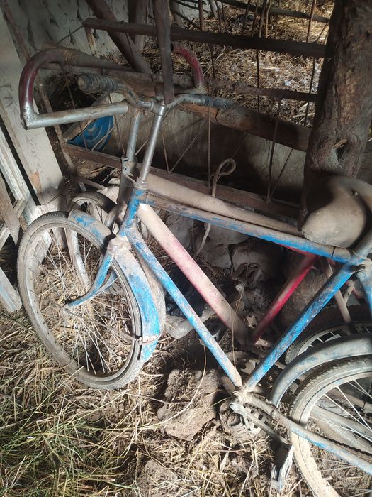 26velasped ekoviyam narmanle holatta