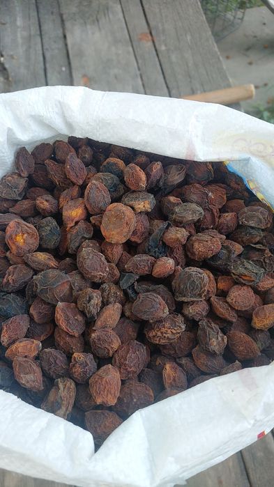 продам урюк сушеный