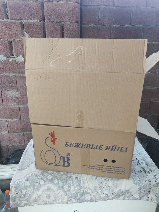 Коробки для яйц.